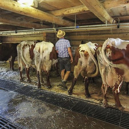 Ferienhof Pfefferbauer Saalbach-Hinterglemm Bagian luar foto
