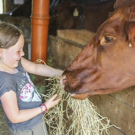 Ferienhof Pfefferbauer Saalbach-Hinterglemm Bagian luar foto