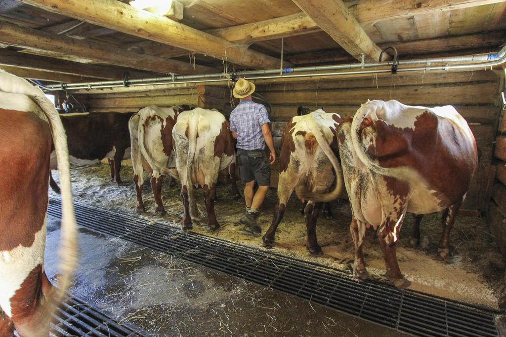 Ferienhof Pfefferbauer Saalbach-Hinterglemm Bagian luar foto